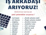 Finansal özgürlük sunuyorum