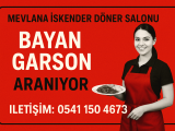 Mevlana döner