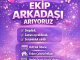 Dijital girisim