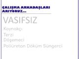 Çalışma Arkadaşı Arıyoruz...