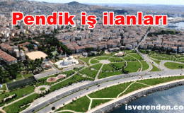 Pendik part time iş ilanları