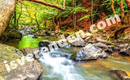 Yalova iş ilanları