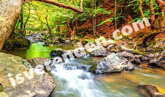 Yalova iş ilanları