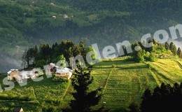 Trabzon iş ilanları