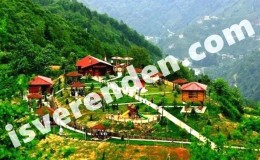 Rize iş ilanları