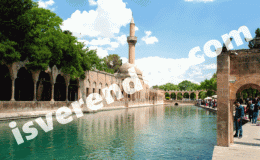 Şanlıurfa iş ilanları