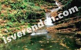 Sinop iş ilanları