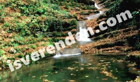 Sinop iş ilanları