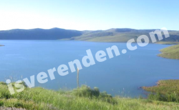 Muş part time iş ilanları
