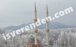 Tokat Sulusaray İş İlanları