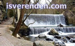 Manisa Salihli İş İlanları