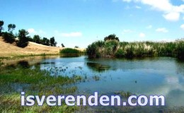 Manisa sarıgöl part time iş ilanları