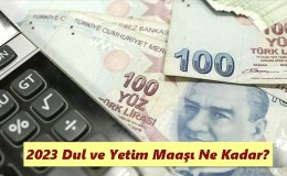 2023 Dul ve Yetim Maaşı Ne Kadar?