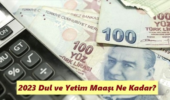 2023 Dul ve Yetim Maaşı Ne Kadar?