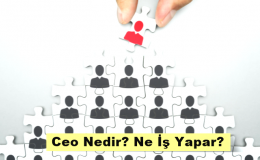 Ceo Nedir, Ne İş Yapar?