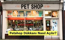 Petshop Dükkanı Nasıl Açılır? Maliyeti ve Kazancı Nedir?