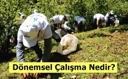 Dönemsel Çalışma Nedir? Dönemsel işler nedir?