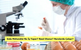 Gıda Mühendisi Ne İş Yapar? Nasıl Olunur? Nerelerde Çalışır?