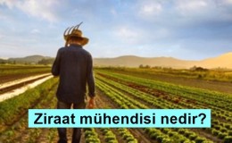 Ziraat mühendisi nedir? Ne iş yapar? Nasıl olunur?