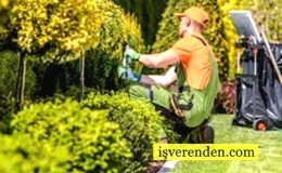 Bahçıvan Nedir? Ne İş Yapar? Nasıl Olunur?