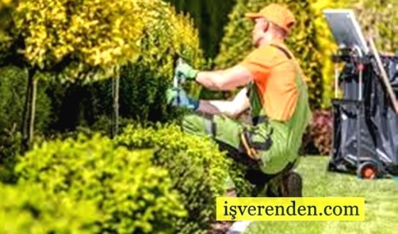 Bahçıvan Nedir? Ne İş Yapar? Nasıl Olunur?