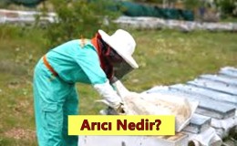 Arıcı Nedir? Ne İş Yapar? Nasıl Olunur?