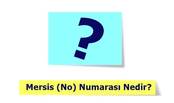 Mersis (No) Numarası Nedir? Ne İşe Yarar? Nasıl Alınır?