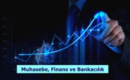Muhasebe, Finans ve Bankacılık