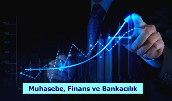 Muhasebe, Finans ve Bankacılık