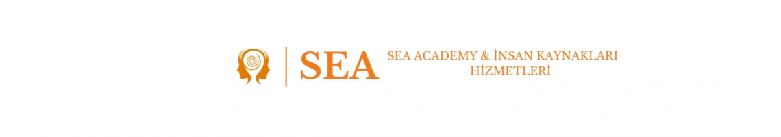 seaacademyik hizmetleri